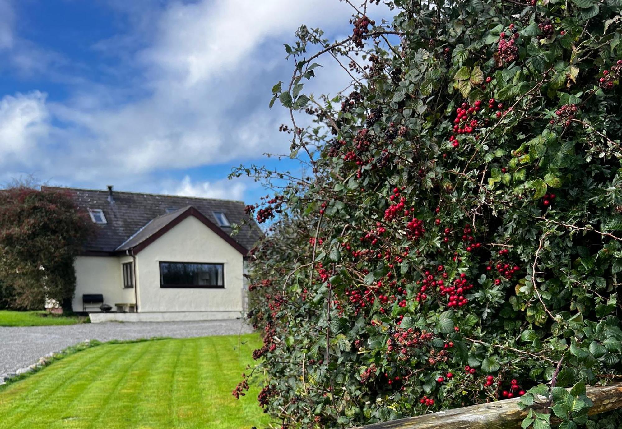 3 Bed Detached Cottage- Log Burner Mountain Views Beaumaris Exterior foto